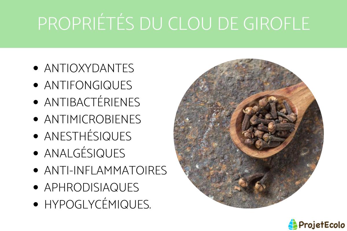 Clou Girofle Propri T S Utilisation Et Contre Indications