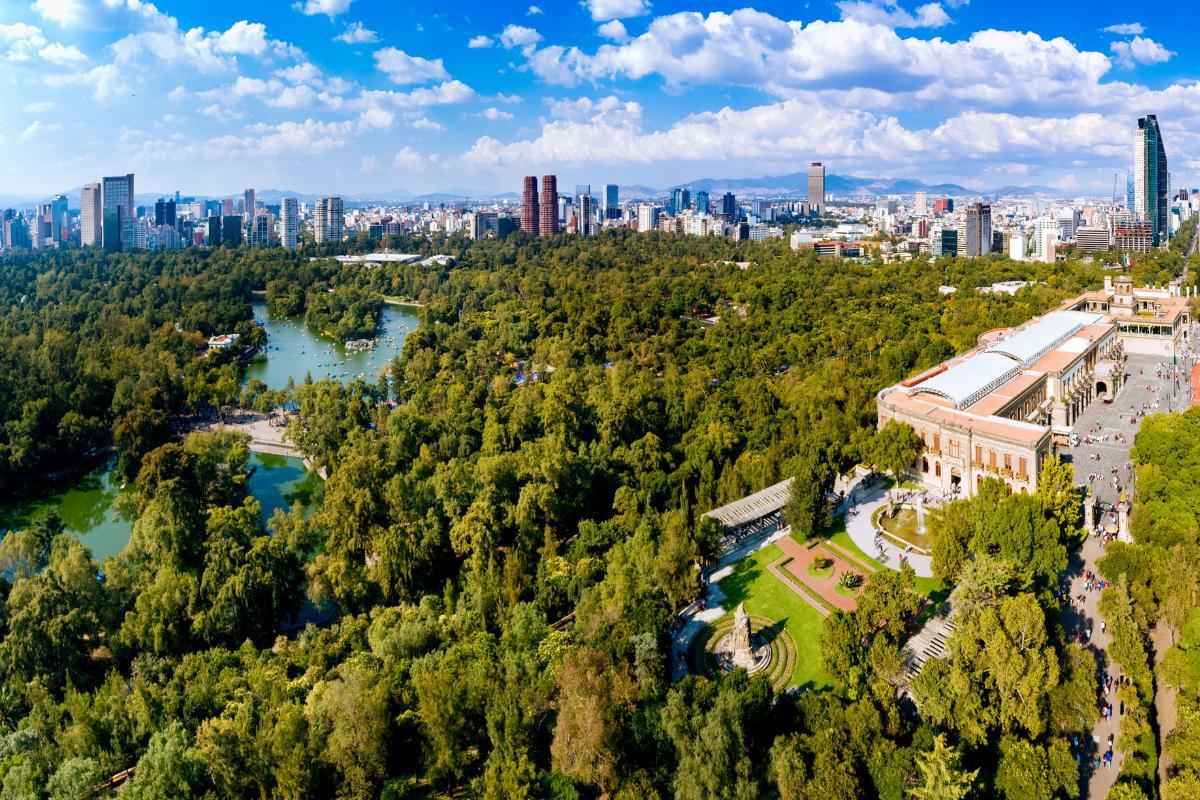 Forêts urbaines : définition et importance