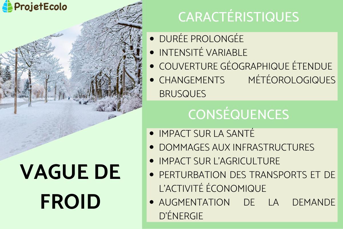 Vagues de froid