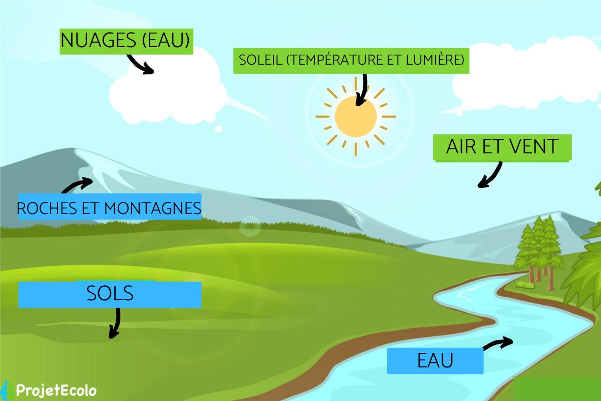 Facteurs abiotiques : Définition, caractéristiques et exemples
