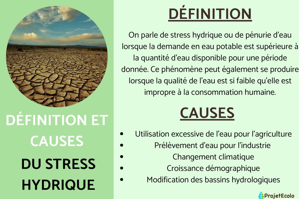 Stress hydrique : Définition, causes, conséquences et comment l'éviter