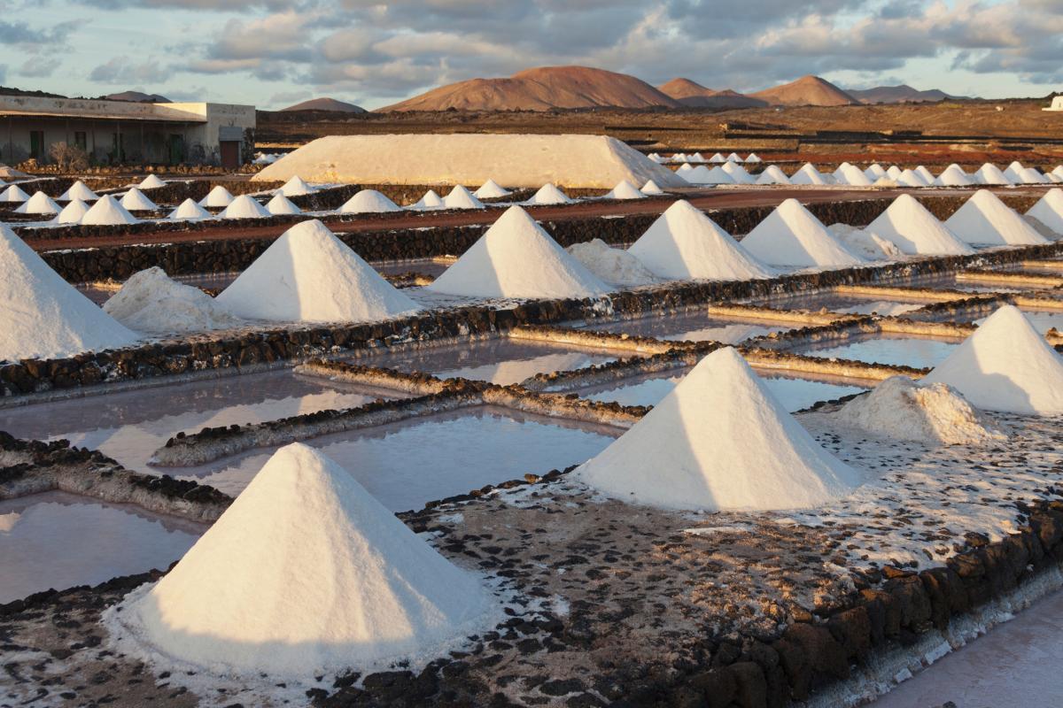 Marais salants : définition, types, importance