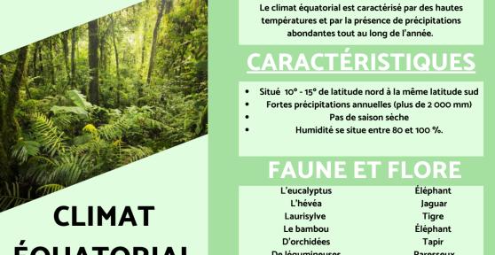 Climat équatorial : Définition, caractéristiques, flore et faune