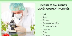 Aliments génétiquement modifiés : liste et avantages