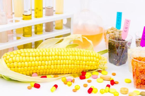 Aliments génétiquement modifiés : liste et avantages - Production actuelle d'aliments génétiquement modifiés dans le monde