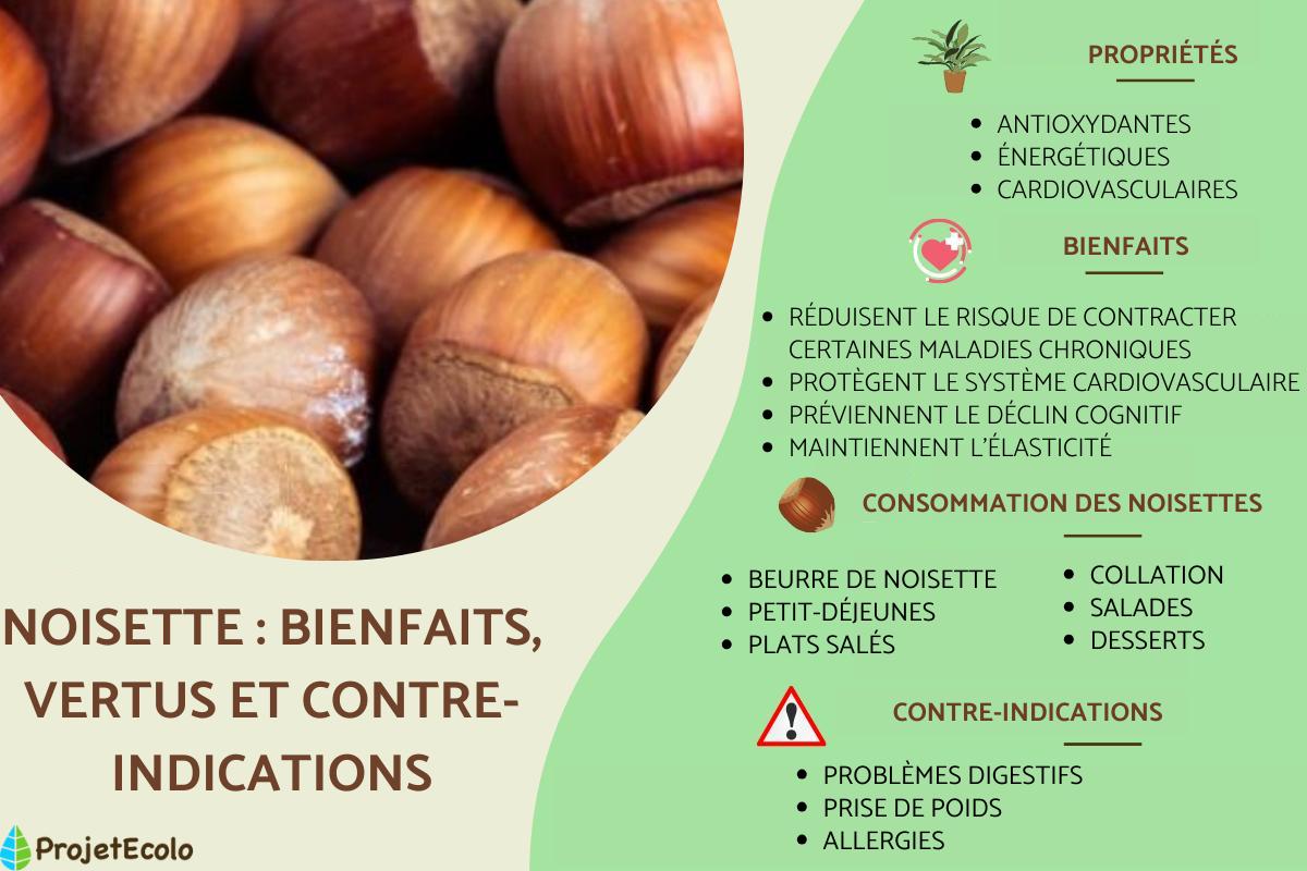 Noisette : bienfaits, vertus et contre-indications