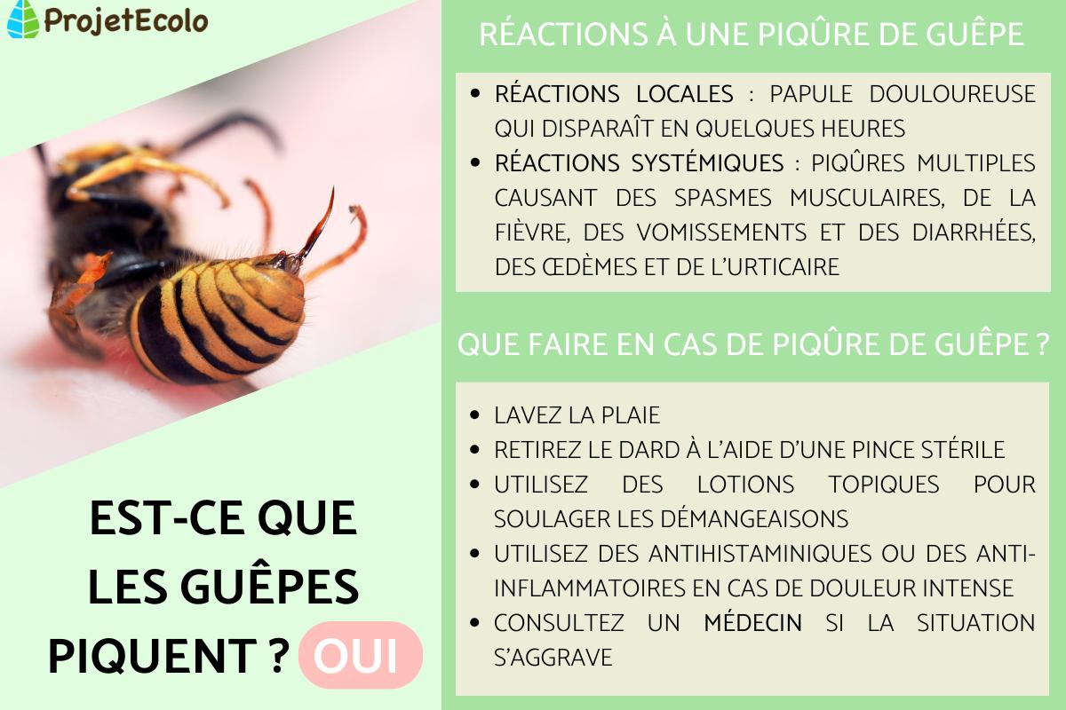 Est-ce que les guêpes piquent ?