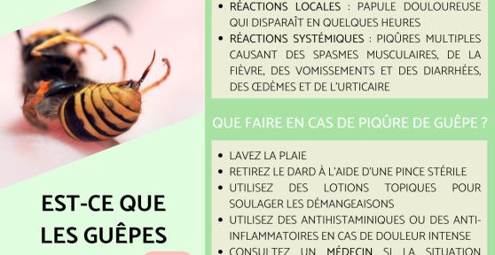 Est-ce que les guêpes piquent ?