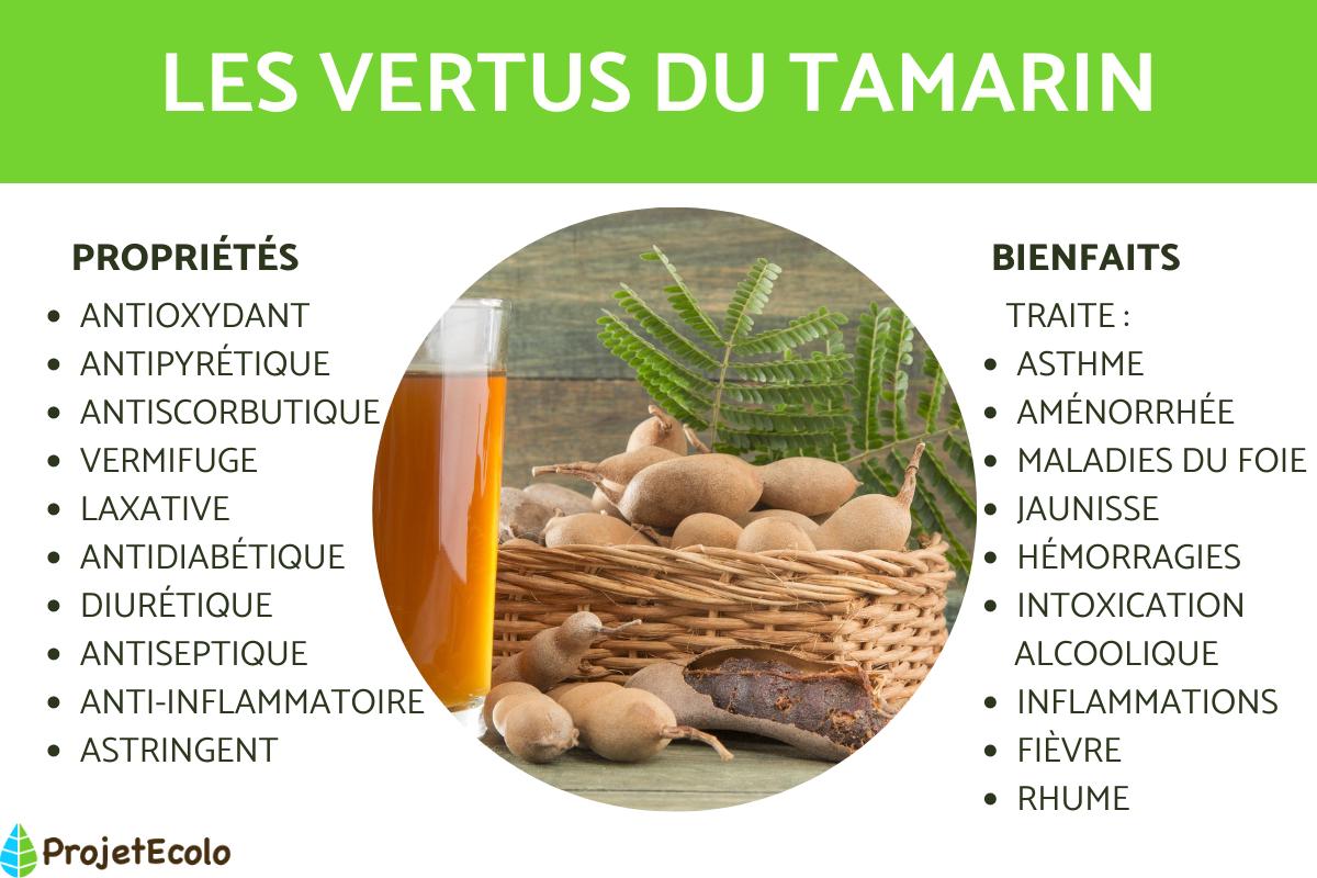 TAMARIN : PROPRIÉTÉS, BIENFAITS et UTILISATION