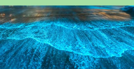 Mer bioluminescente : Définition et plage bioluminescente