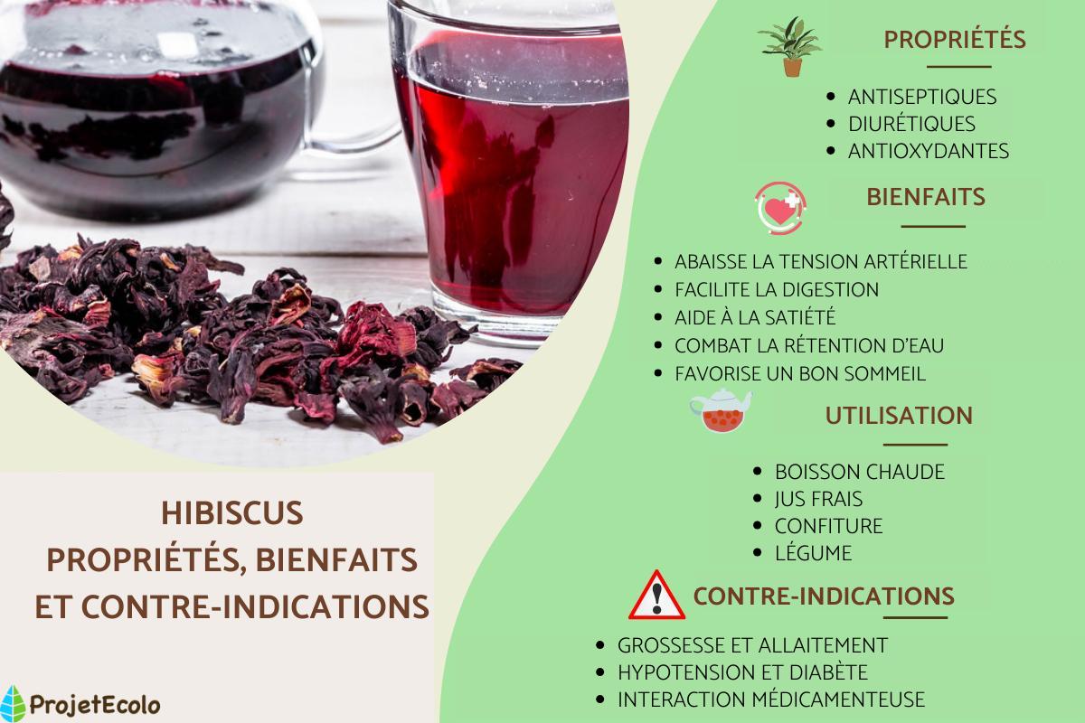Hibiscus : propriétés, bienfaits et contre-indications