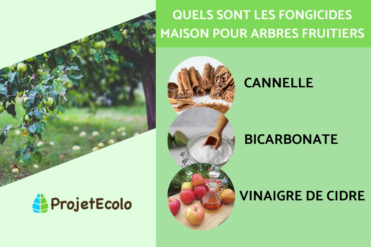 Fongicides naturels pour les arbres fruitiers