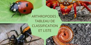 Arthropodes : tableau de classification et liste