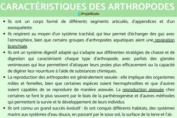 Arthropodes : tableau de classification et liste - Caractéristiques des arthropodes