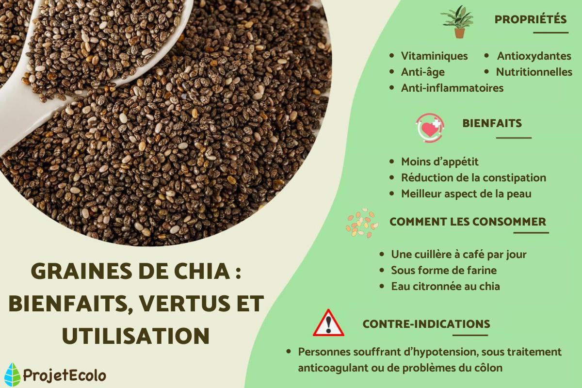 Graines de chia : bienfaits, vertus et utilisation