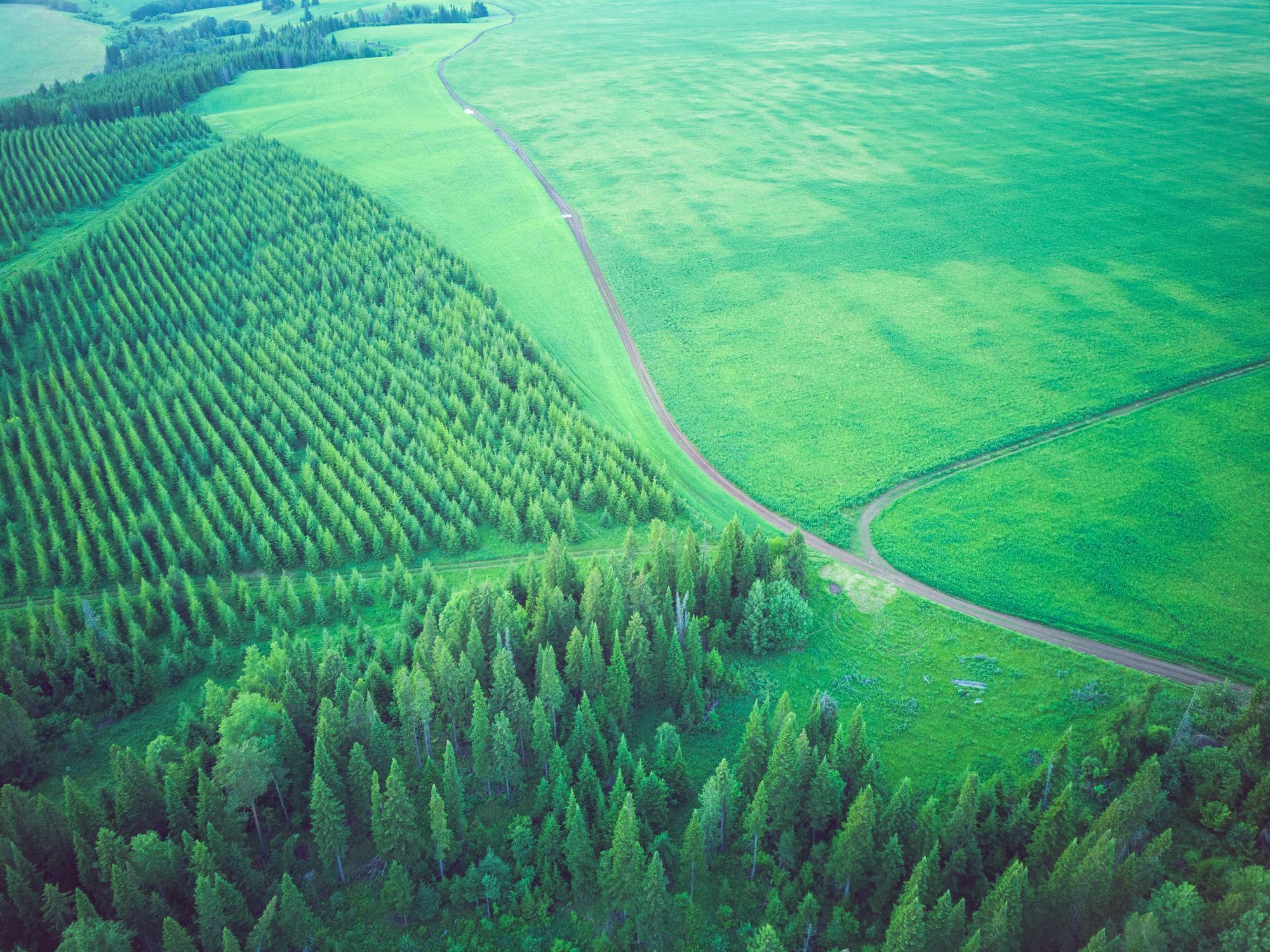 Fragmentation des habitats Définition, causes et conséquences
