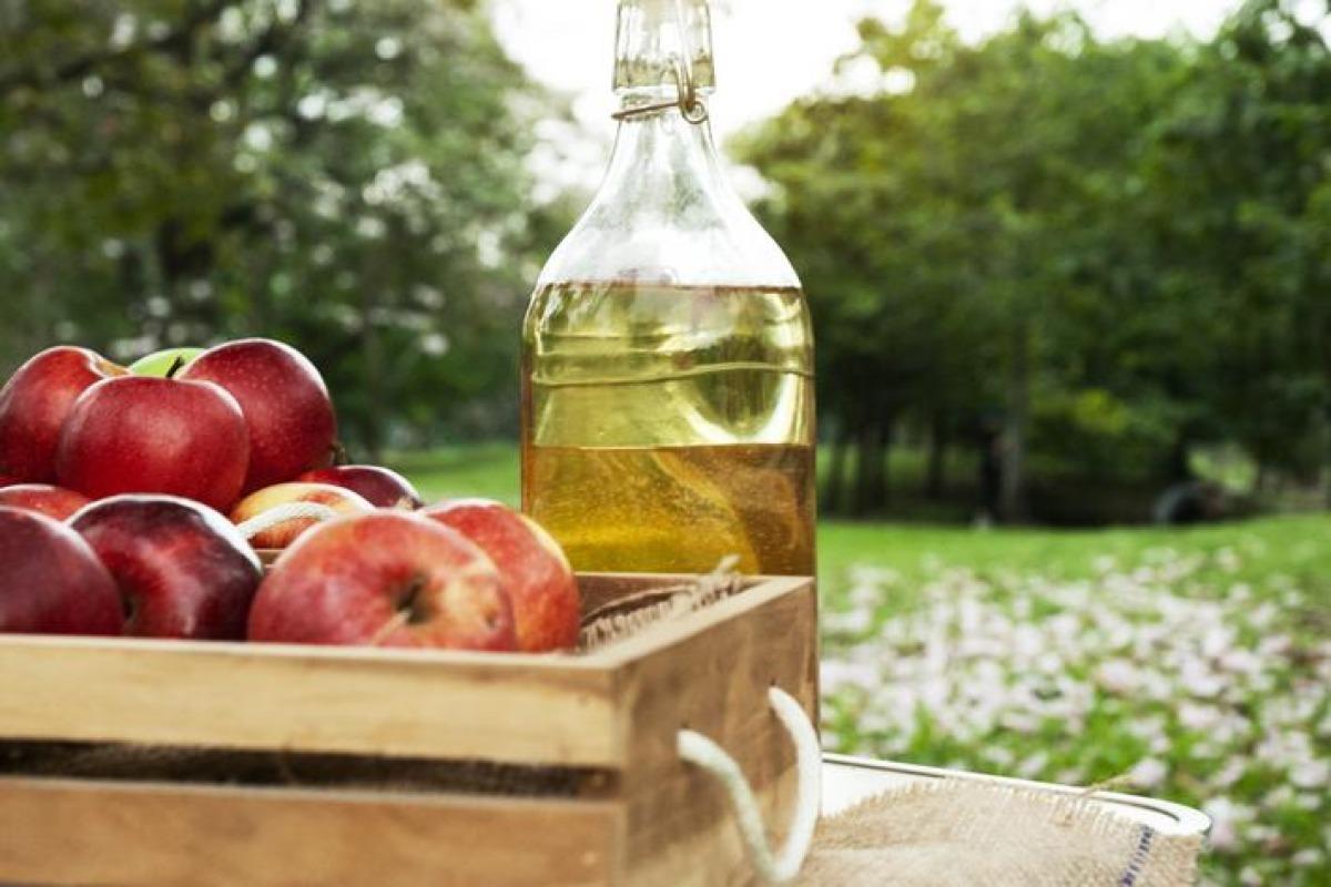 Vinaigre blanc et plantes vertes : bienfaits et utilisation