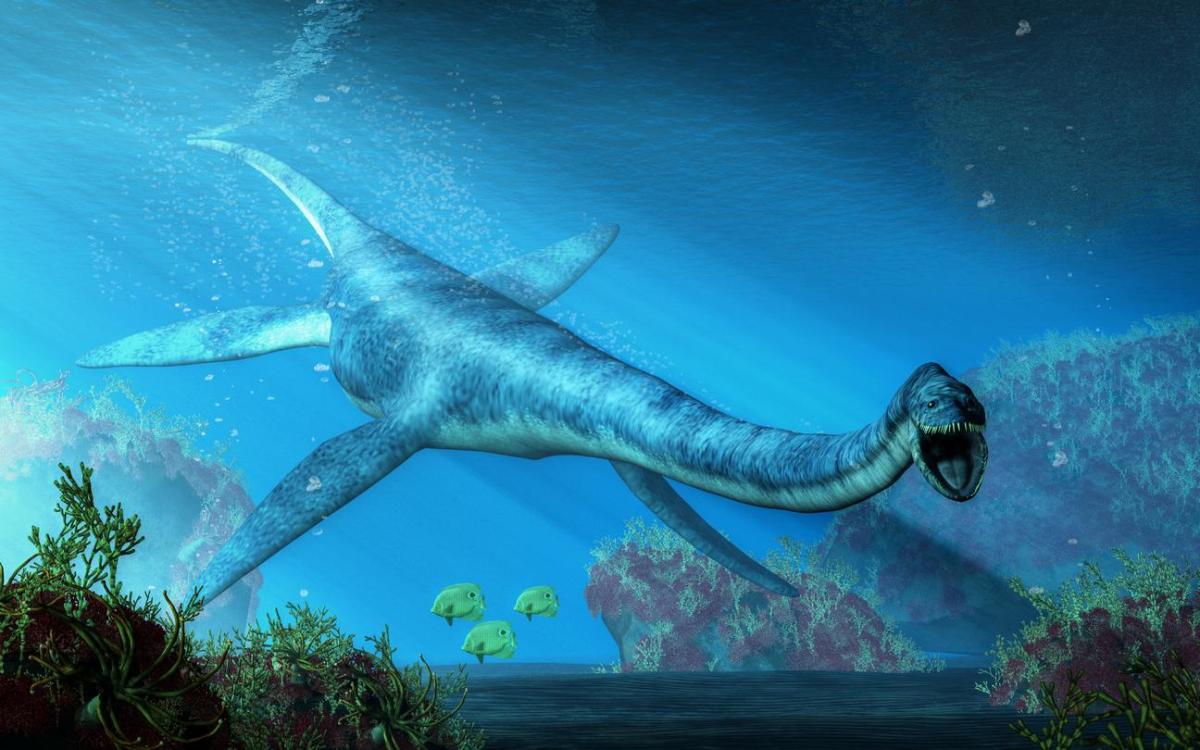 Dinosaures marins : espèces et caractéristiques