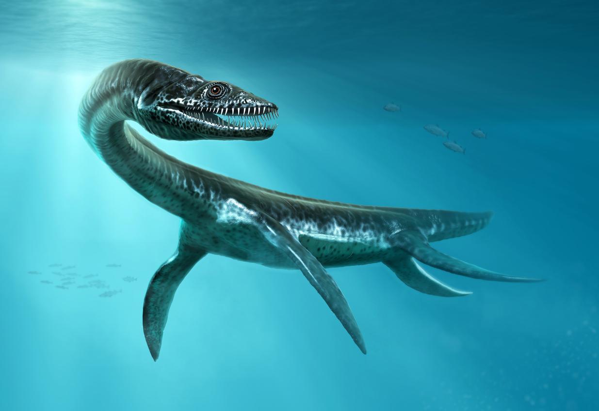 Dinosaures MARINS Espèces et CARACTÉRISTIQUES — free download