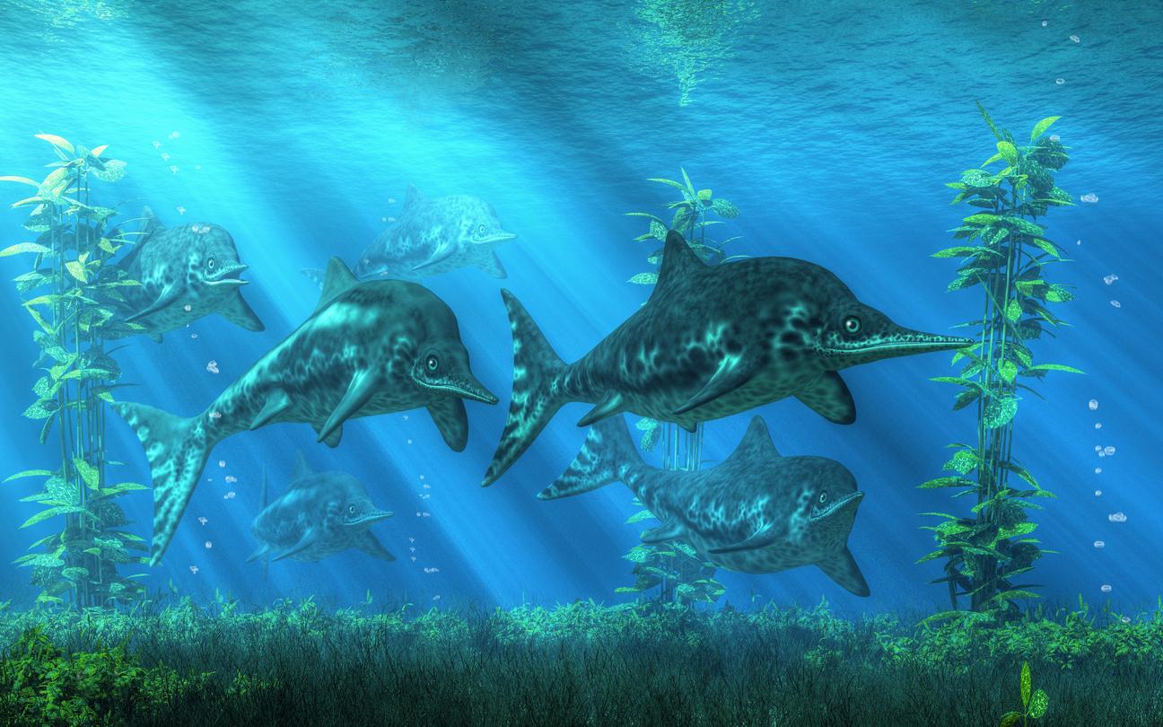 dinosaures-marins-esp-ces-et-caract-ristiques