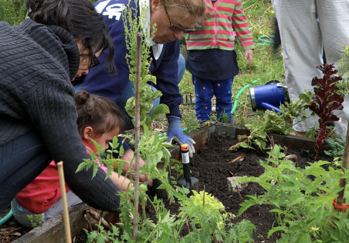 Comment choisir la meilleure jardinerie en ligne ?
