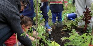Comment choisir la meilleure jardinerie en ligne ?