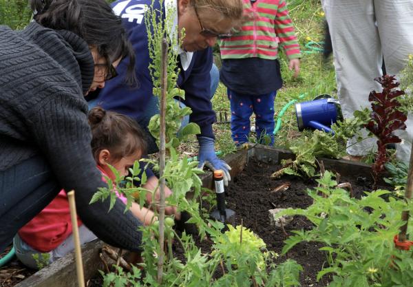 Comment choisir la meilleure jardinerie en ligne ?