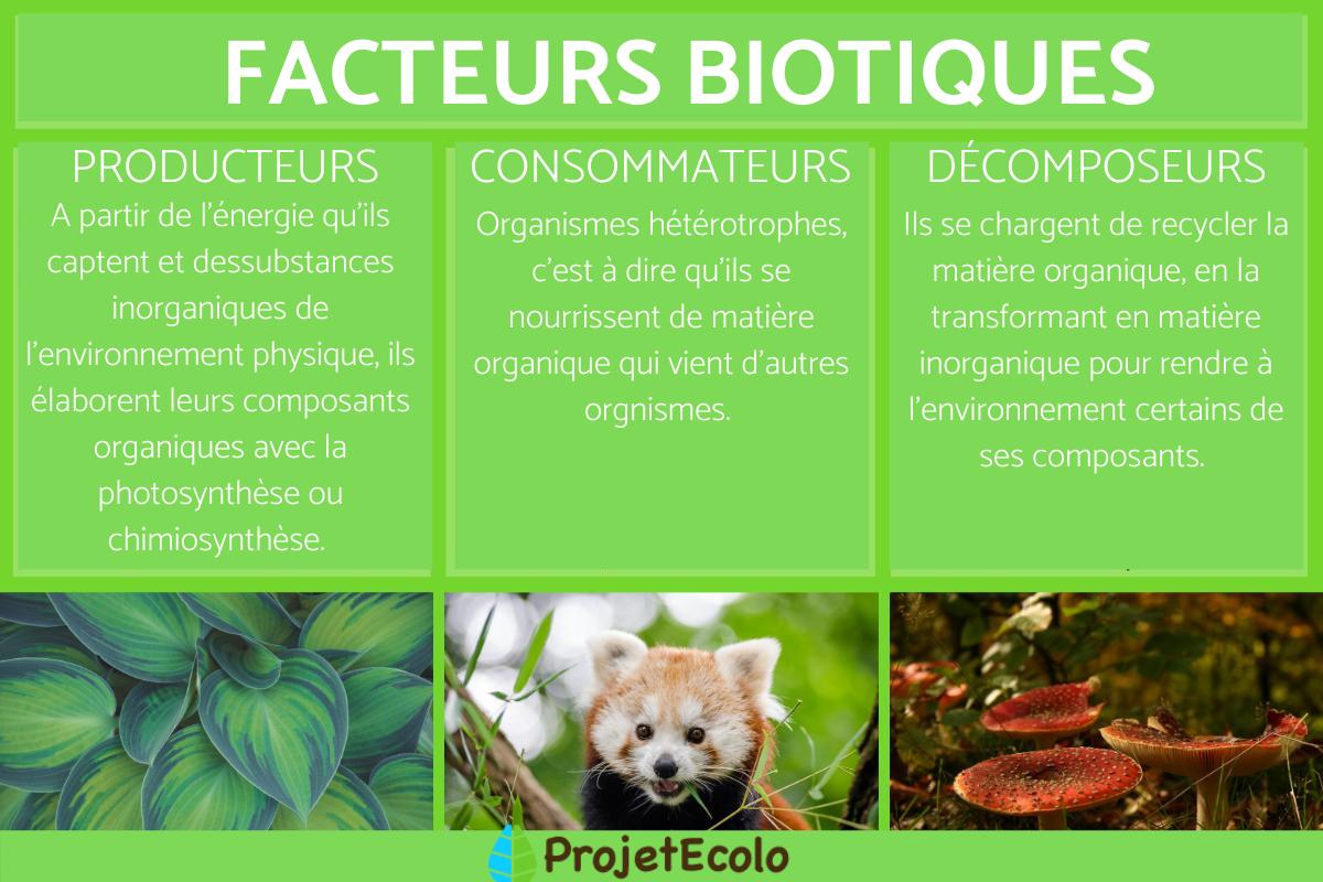 Facteur biotique : Définition, caractéristiques, interaction et exemples