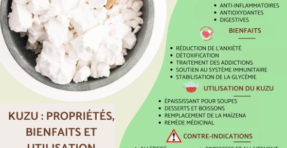 Kuzu : propriétés, bienfaits et utilisation