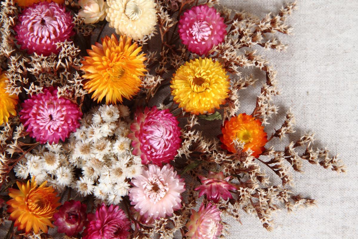 Comment Faire Sécher Un Bouquet De Rose