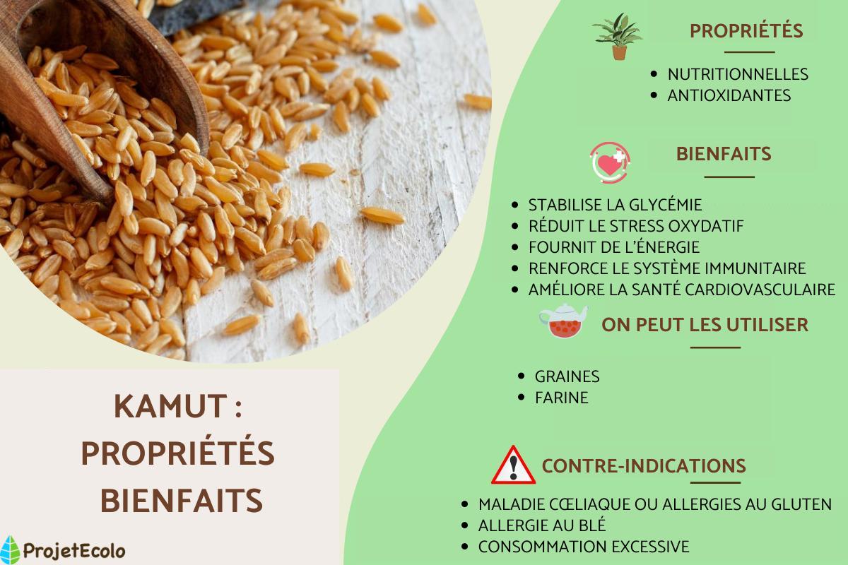 Kamut : propriétés et bienfaits