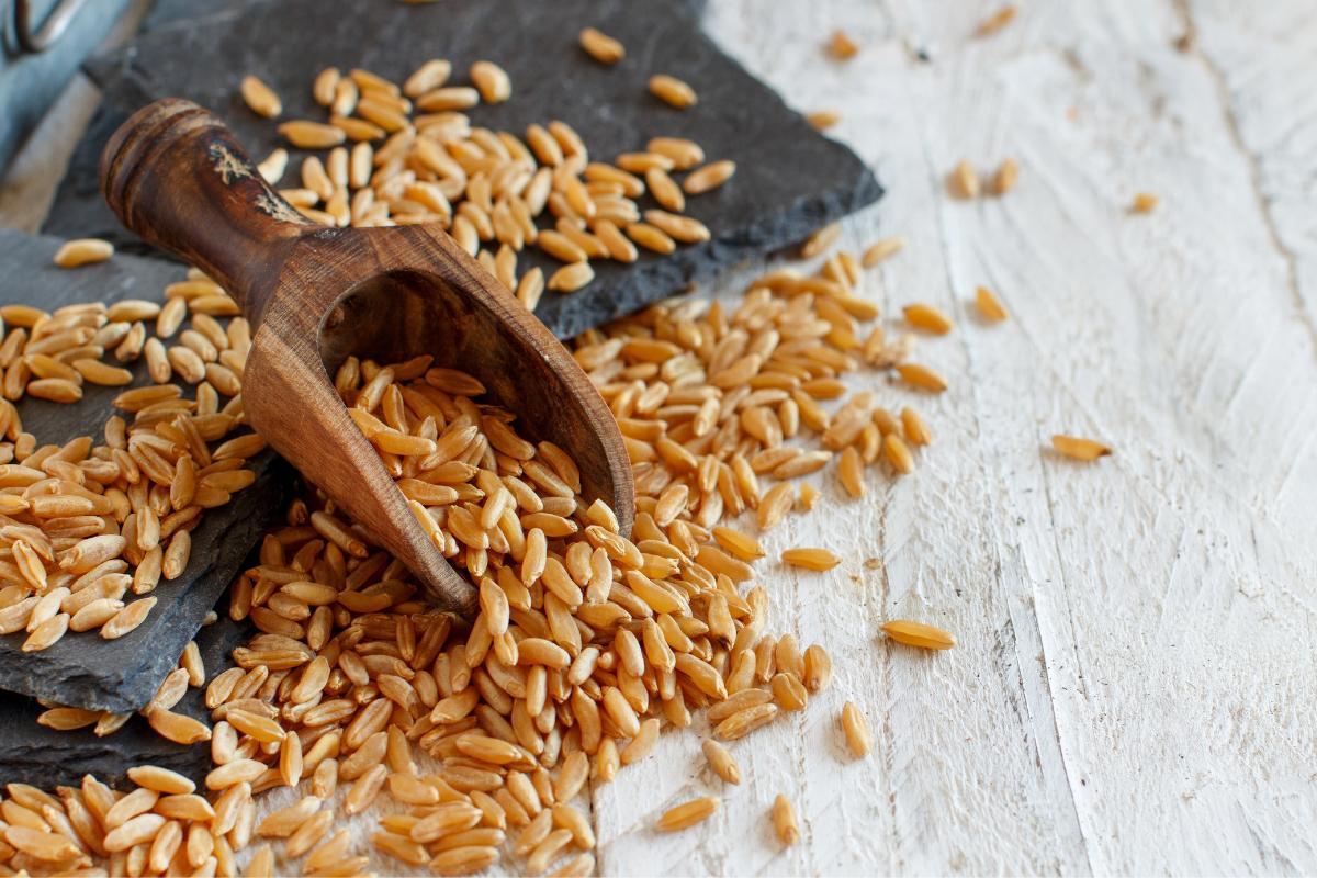 FARINE de KAMUT : PROPRIÉTÉS et BIENFAITS