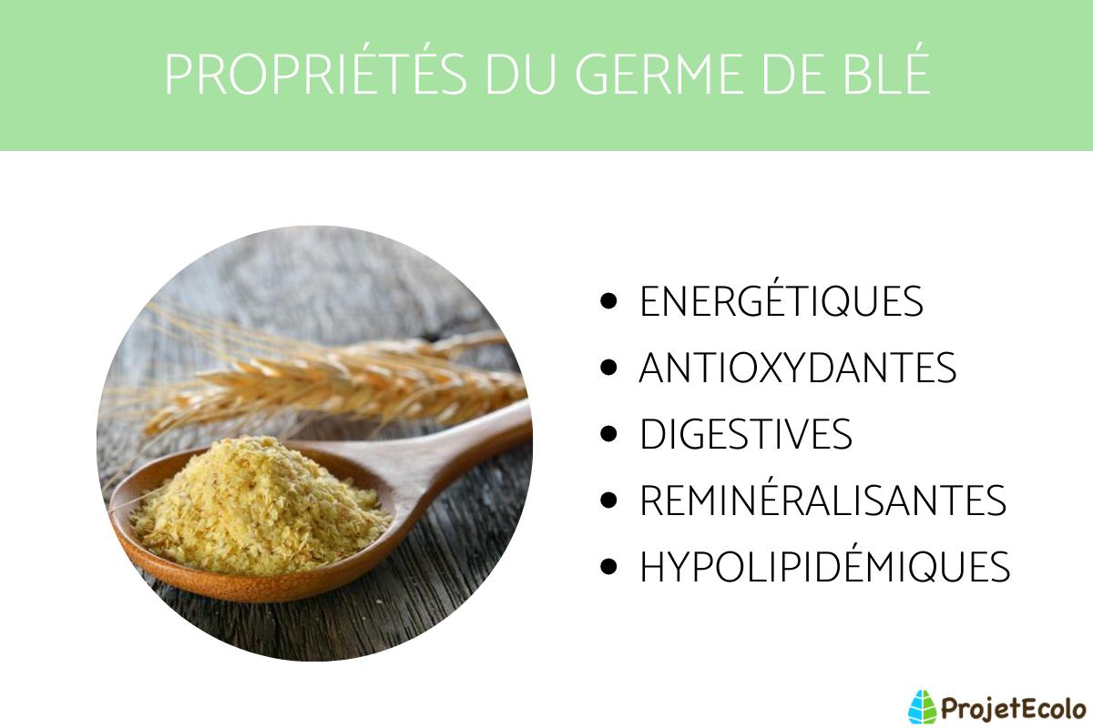 GERME de BLÉ PROPRIÉTÉS, BIENFAITS et CONTREINDICATIONS