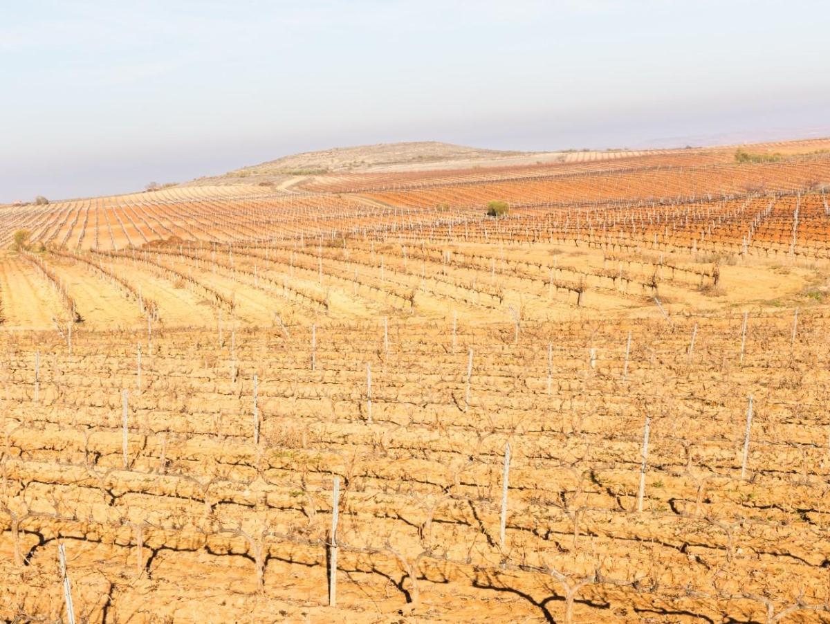 Sécheresses en Espagne