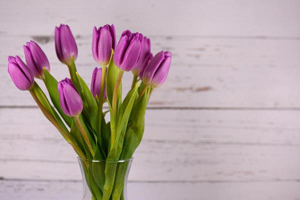 Signification des tulipes - Signification des tulipes violettes