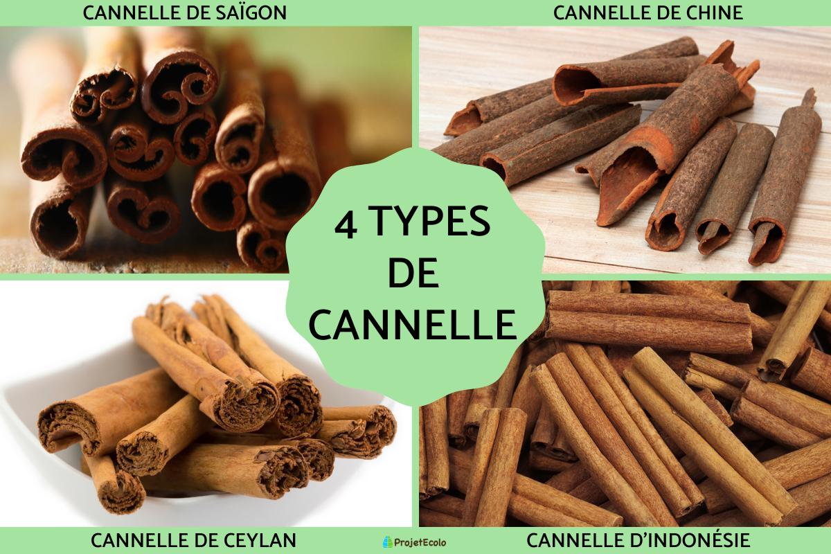 Types de cannelle
