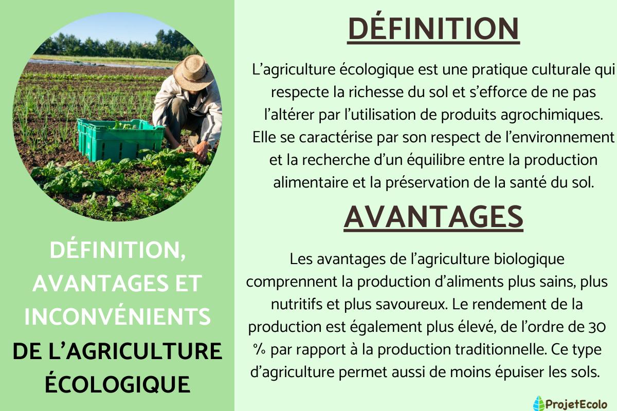 Agriculture écologique : définition, avantages et inconvénients