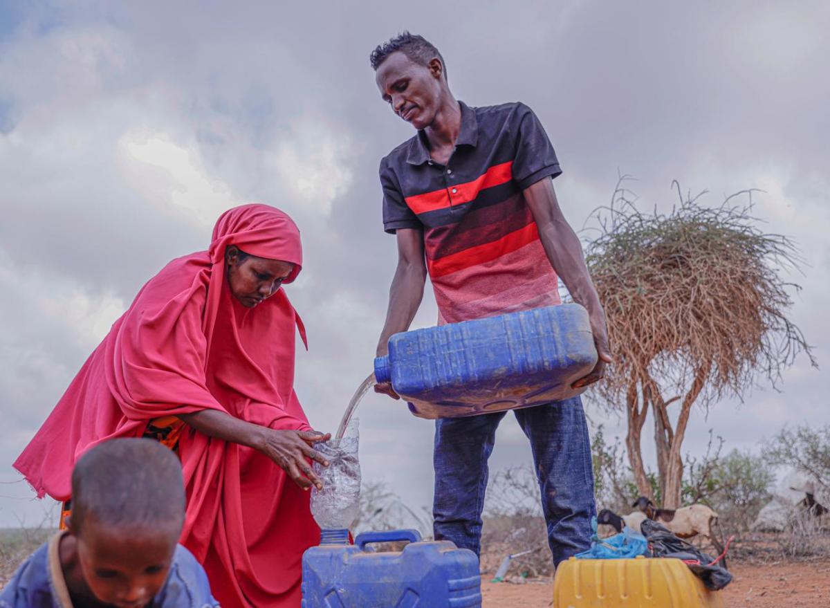 Urgence climatique : définition et effets