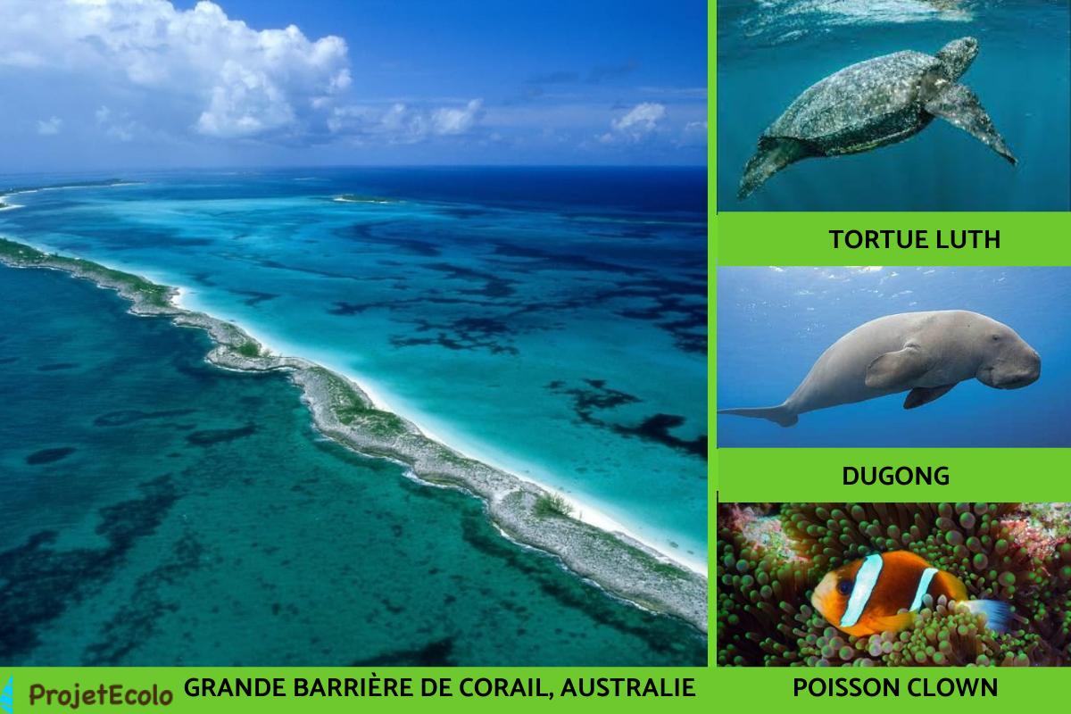 Types d'HABITATS NATURELS DÉFINITION et EXEMPLES