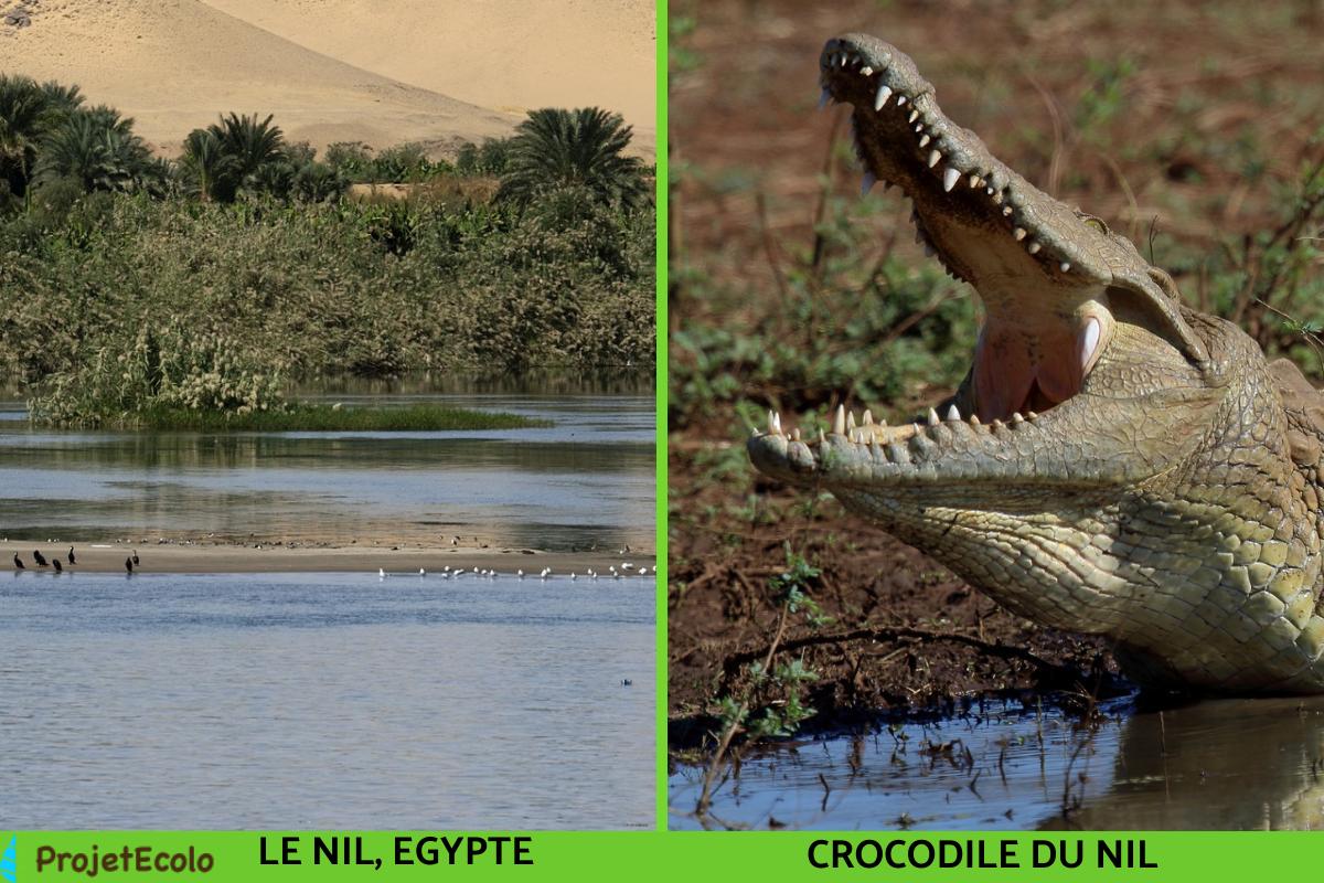 Types d'HABITATS NATURELS DÉFINITION et EXEMPLES