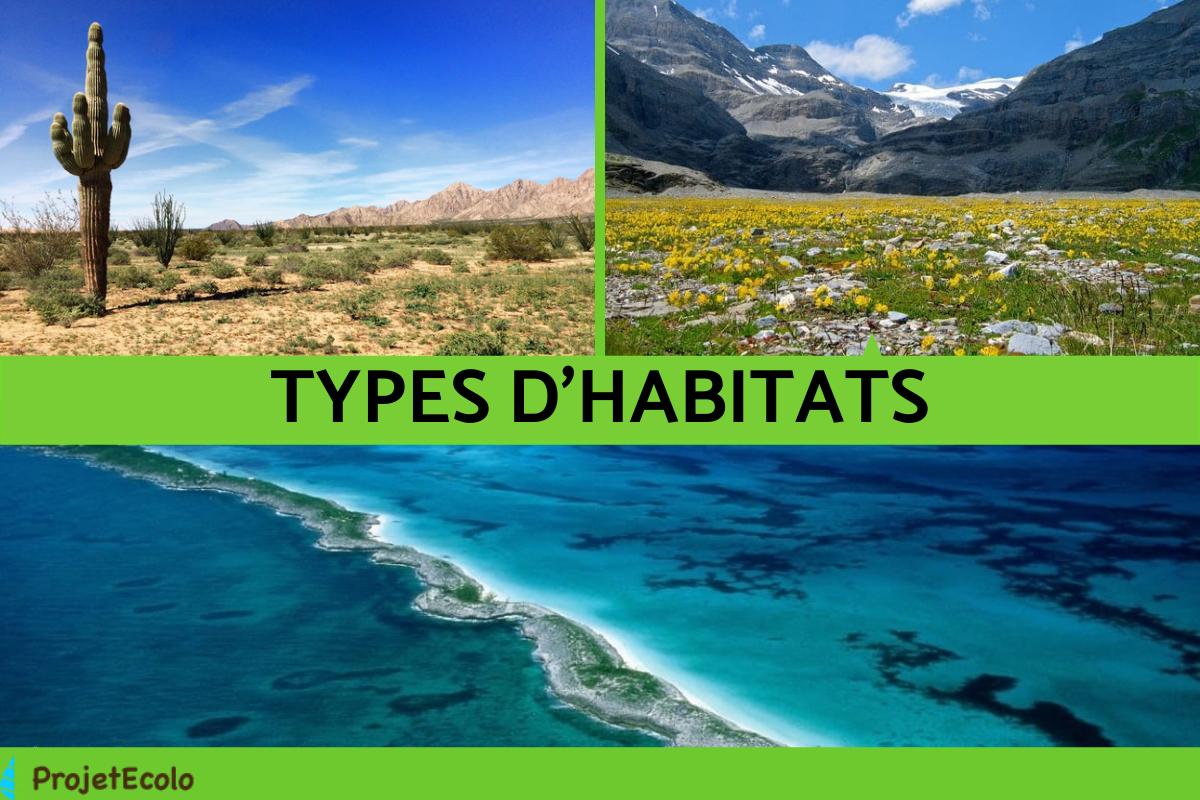 Types d'HABITATS NATURELS DÉFINITION et EXEMPLES