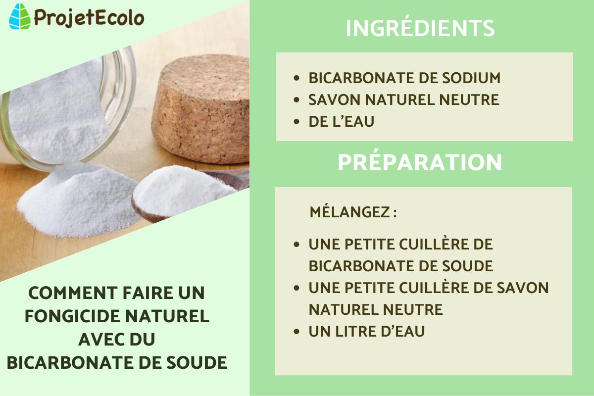 Comment faire un fongicide naturel avec du bicarbonate de soude
