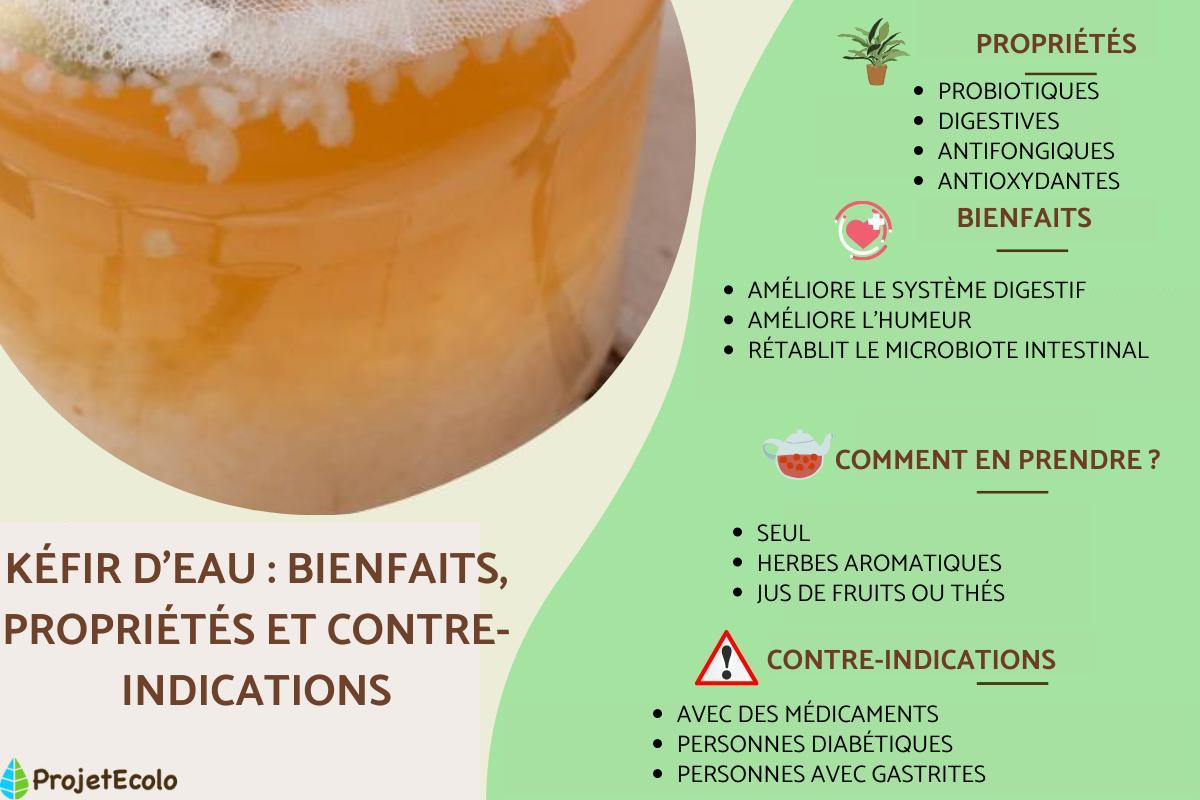 Kéfir d'eau : bienfaits, propriétés et préparation
