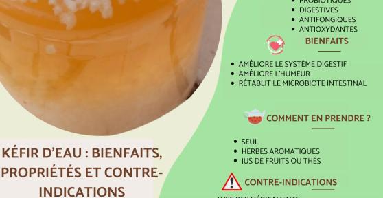 Kéfir d'eau : bienfaits, propriétés et préparation