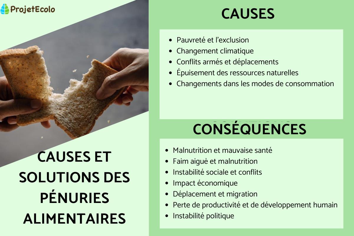 Pénuries alimentaires : Définition, causes et solutions