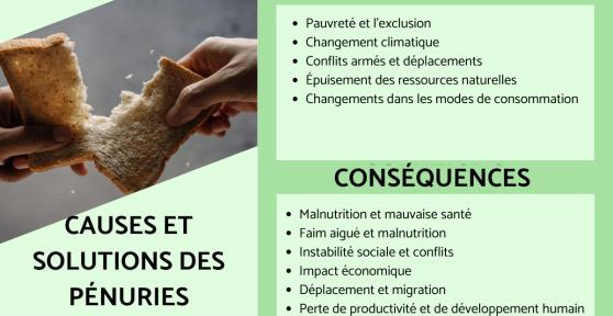 Pénuries alimentaires : Définition, causes et solutions