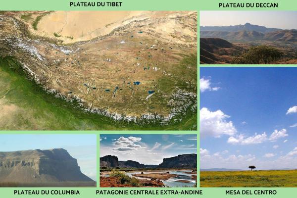 Plateau (géographie) : Définition, formation et exemples - Exemples de plateaux