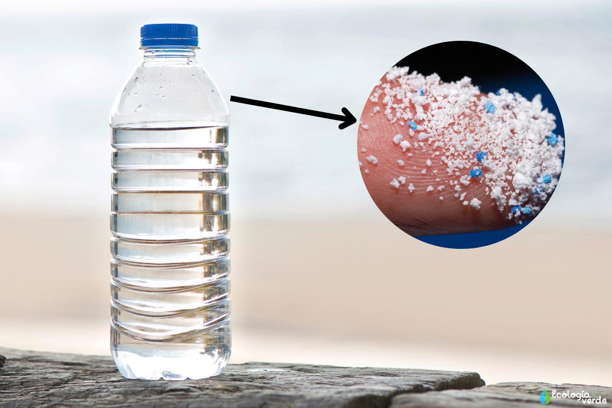 Microplastiques dans l'eau : Définition, types et comment les éliminer