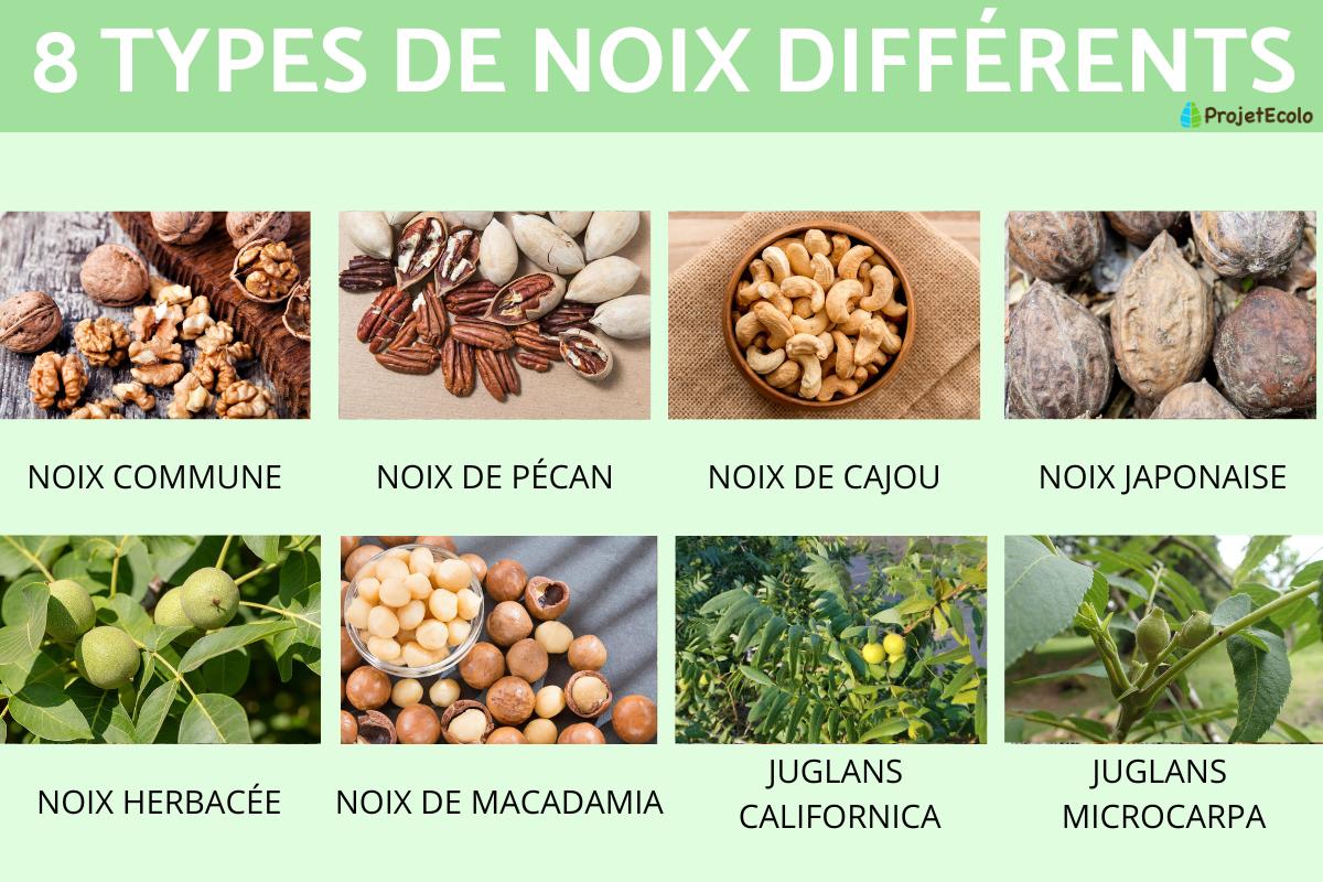 Types de noix