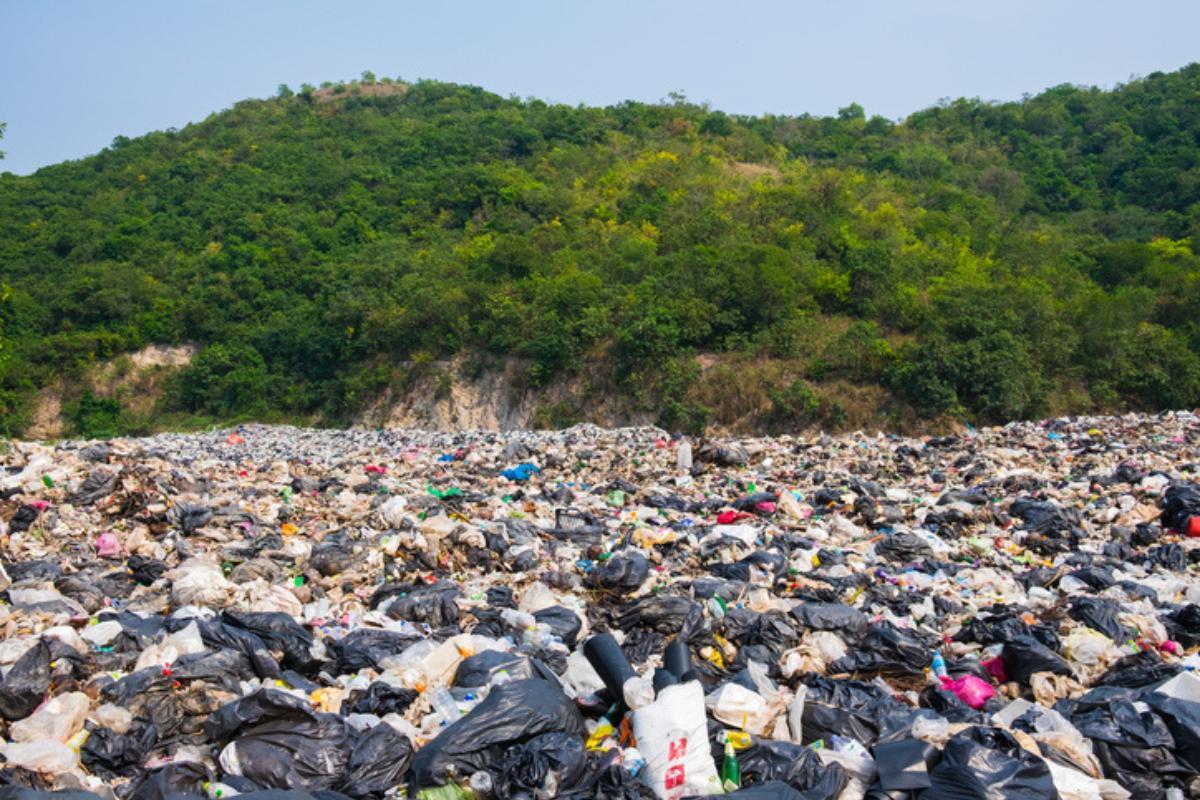 Que sont les îles de plastique et comment se forment-elles ?